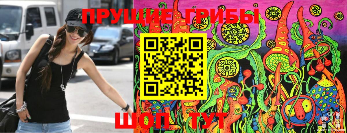 Галлюциногенные грибы Psilocybine cubensis  Вход с VPN  Ставрополь 